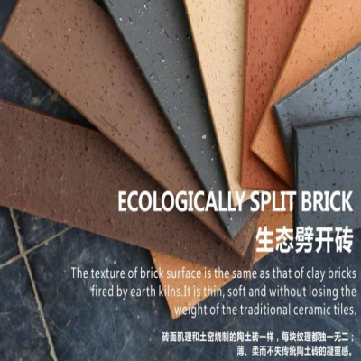 展望軟瓷行業(yè)的未來(lái)